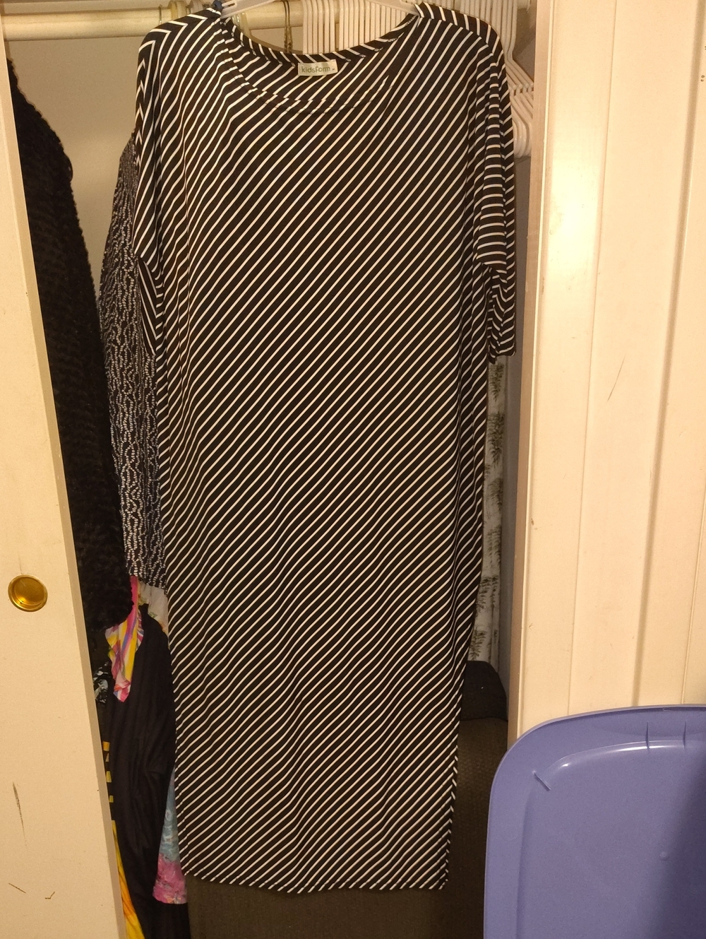 Black & White Diagonal Stripe Women's Dress